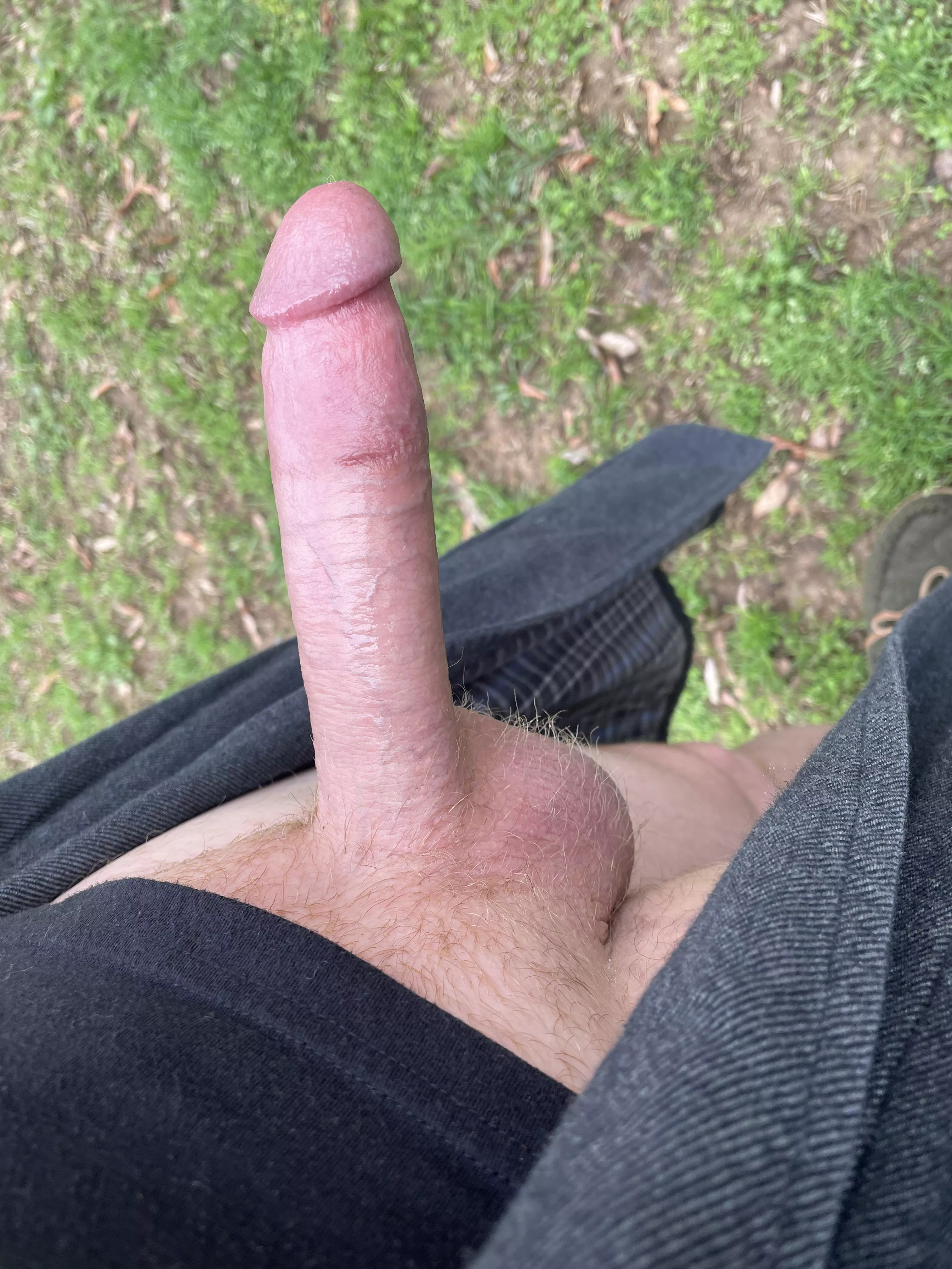 Growing back my ginger bush is taking longer than I expected..