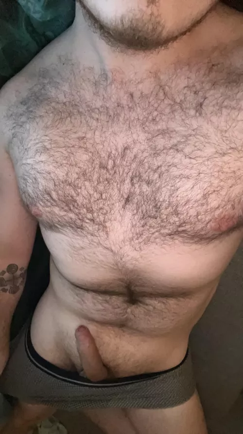 Hey gaymers, have some fur on the house!