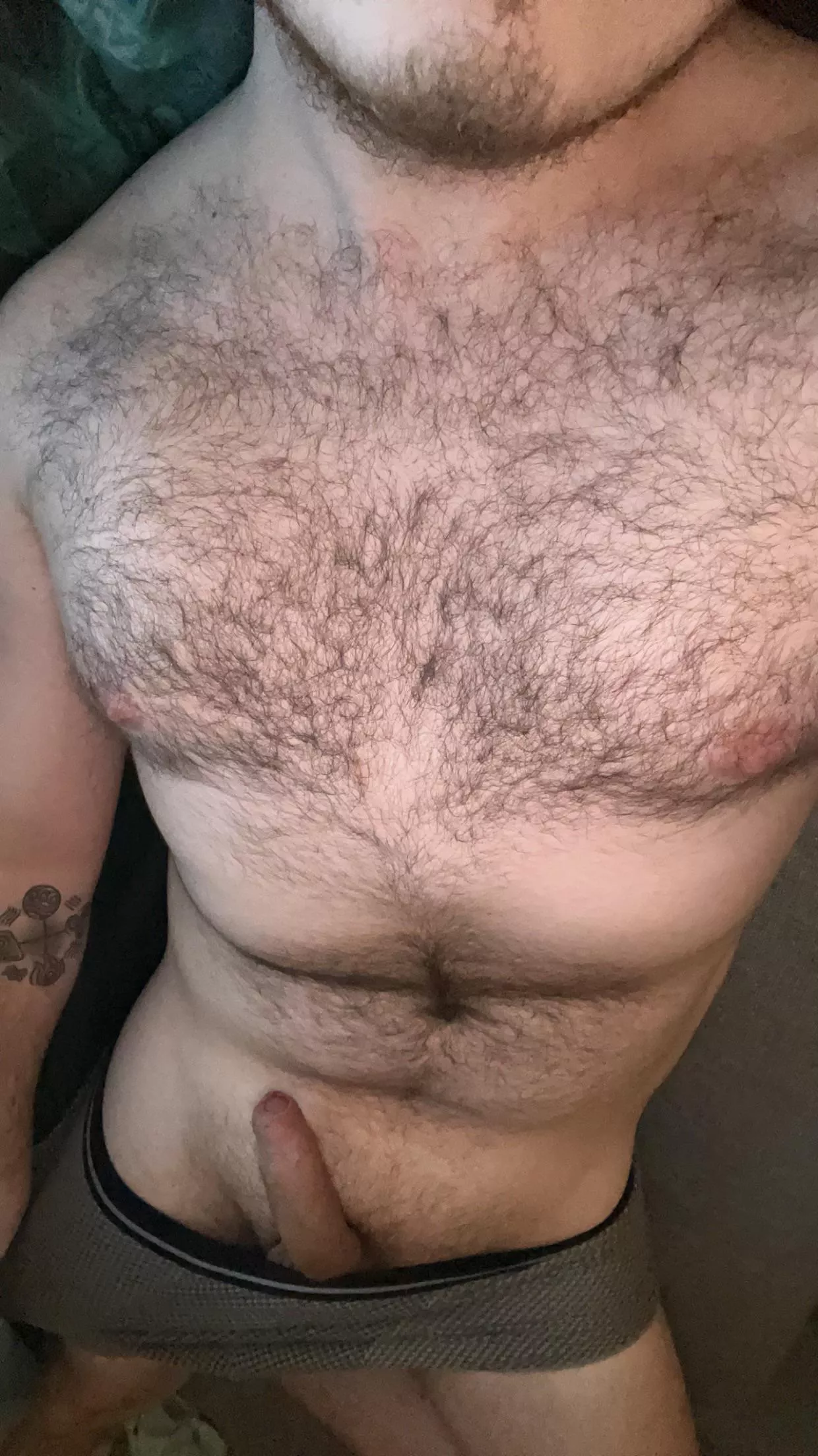 Hey gaymers, have some fur on the house!