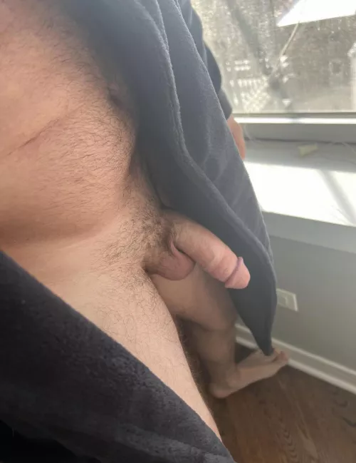 I love showing it off through the windows