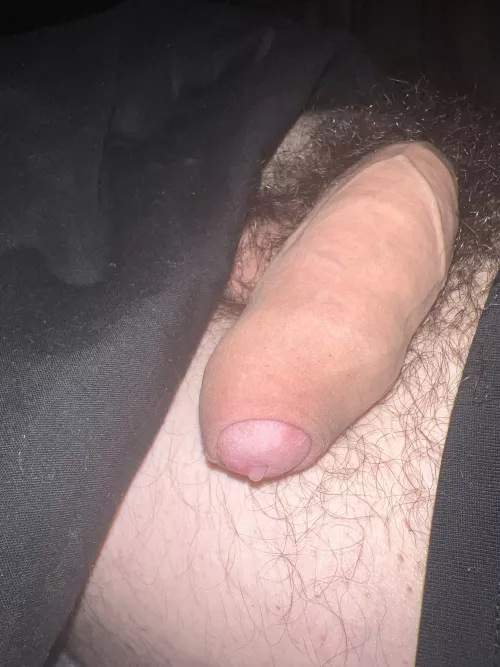 Lick my cum leaking tip 💦👅Dms open😈