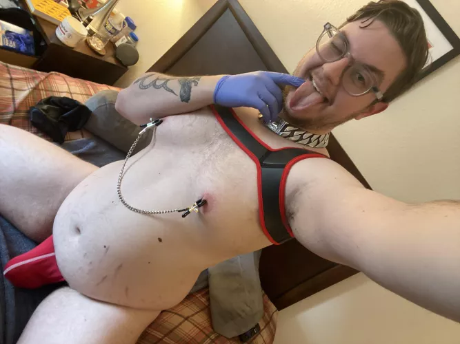 Looking for a hung bud😜