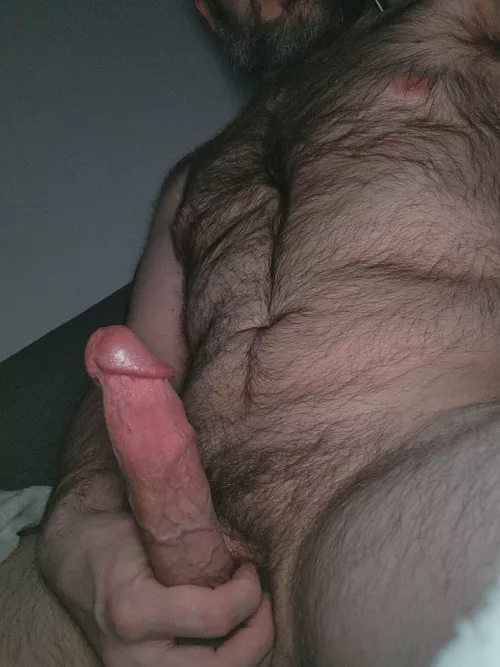 my hard cock and my hairy dad bod