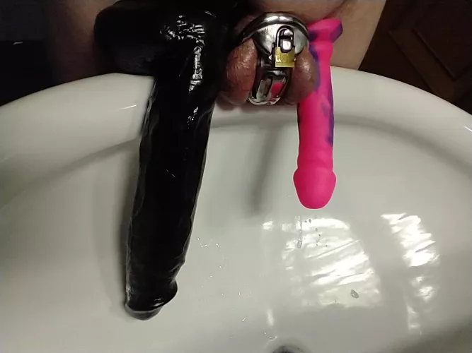 my wife's smallest, largest, and me. I'm convinced I'll die and be buried in this cage.....