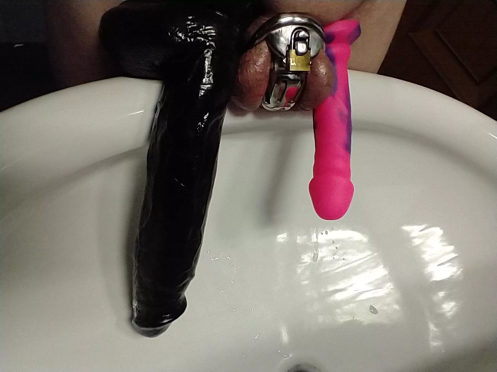 my wife's smallest, largest, and me. I'm convinced I'll die and be buried in this cage.....