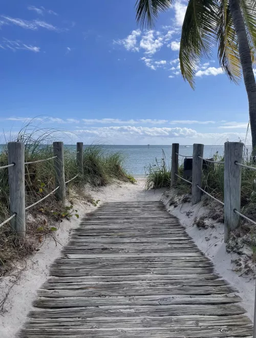 No one likes a shady beach😏