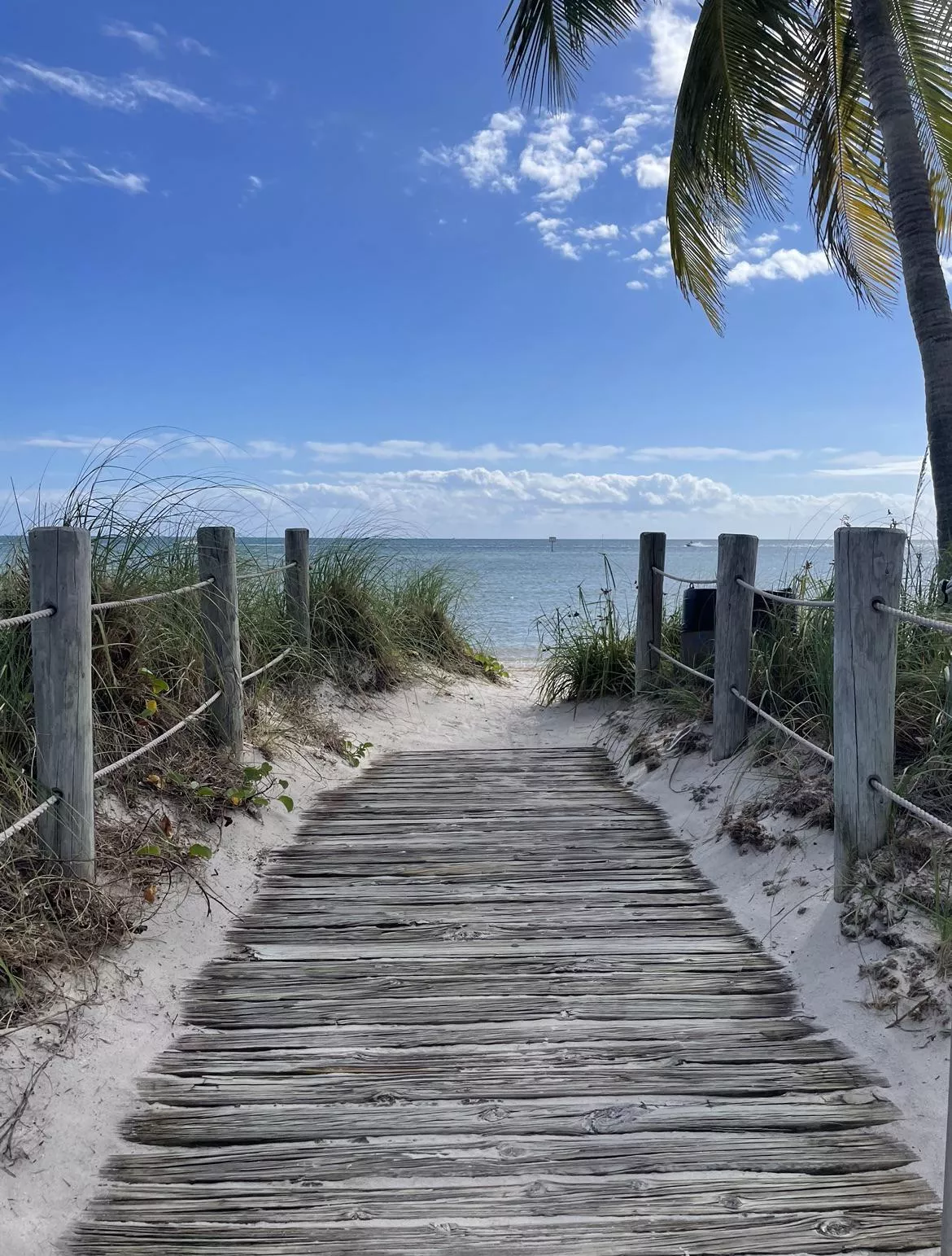 No one likes a shady beach😏