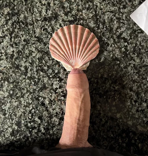 Rate my floppy sea monster