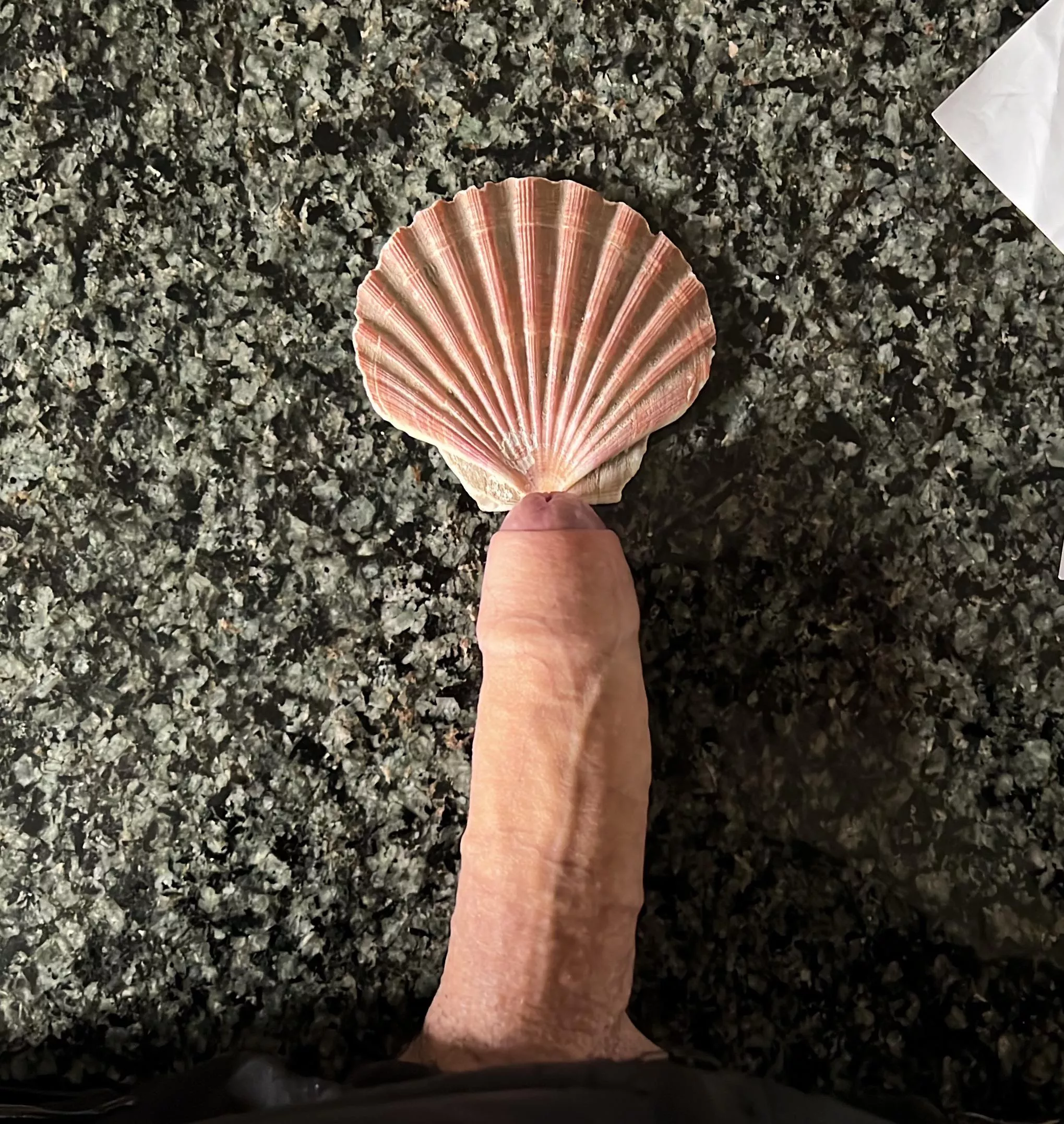 Rate my floppy sea monster