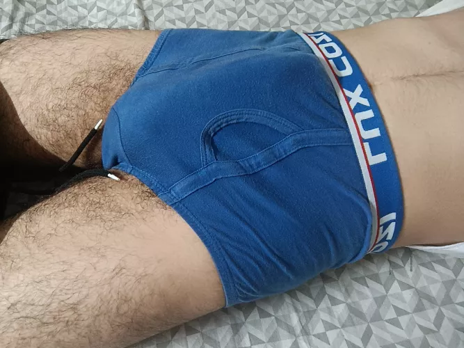 should i let him out for y'all to see?