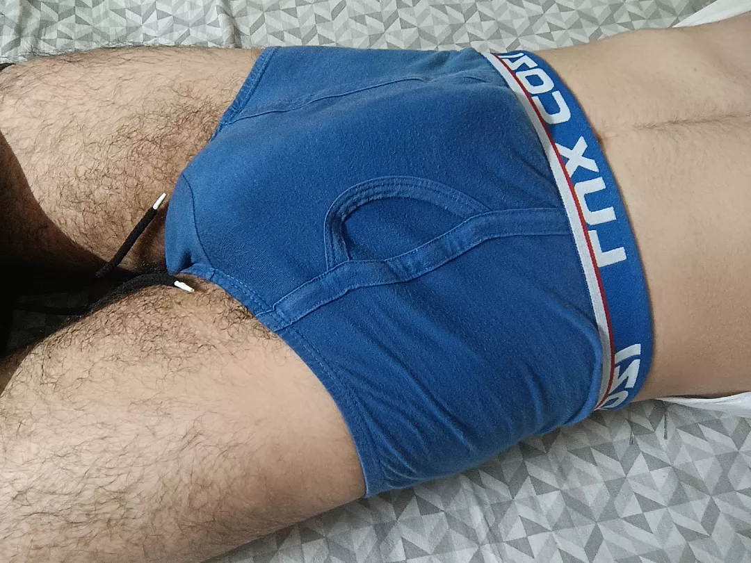 should i let him out for y'all to see?