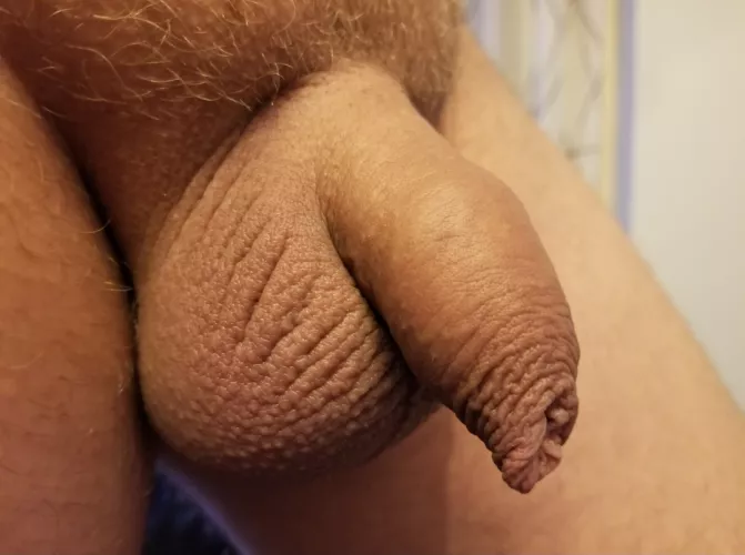 softie in all its glory