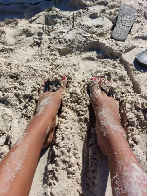 sun and nature together