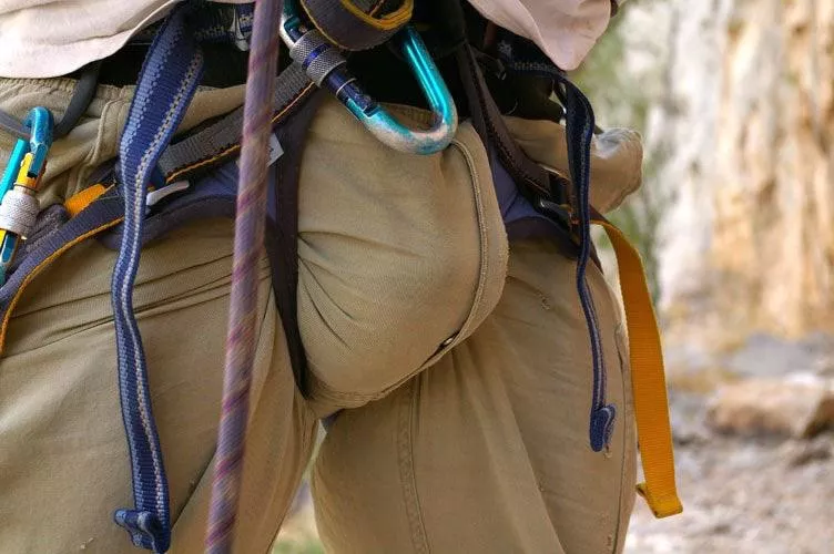 The bulge that started everything