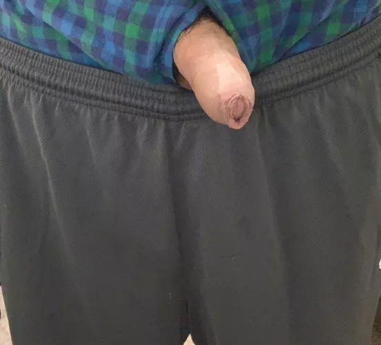 Today’s boxers (m29)