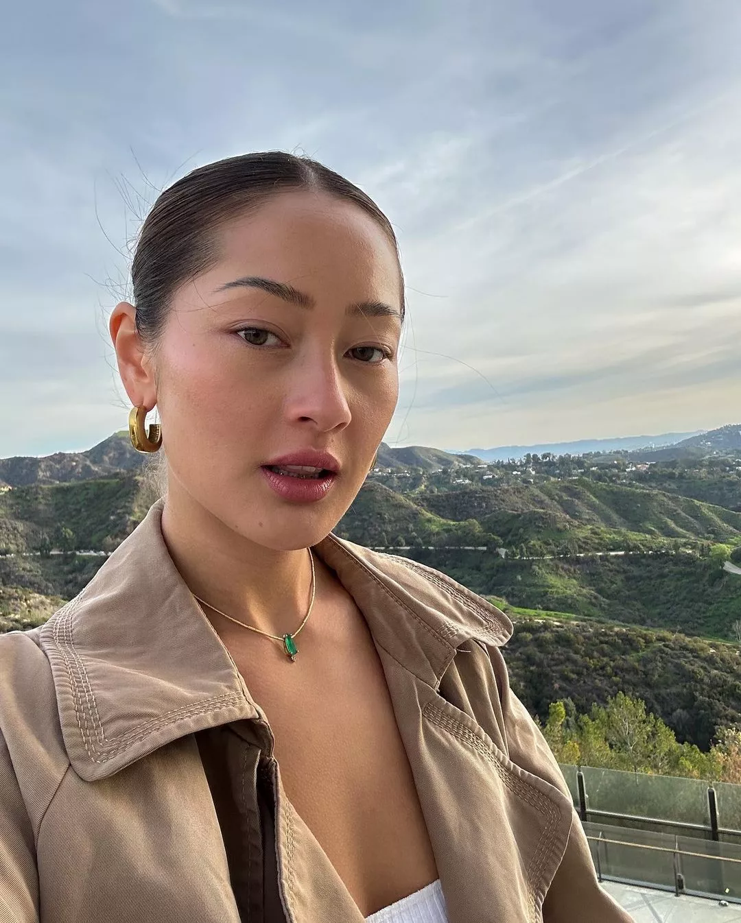 Vietnamese and German