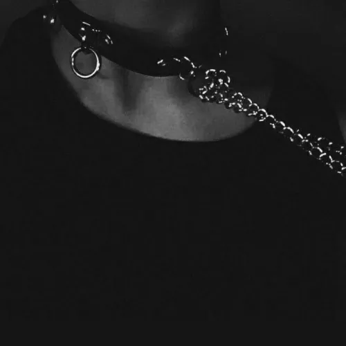 What would you do if you were the one holding the leash?