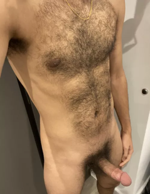 24 m uk fit+++ arayan-a