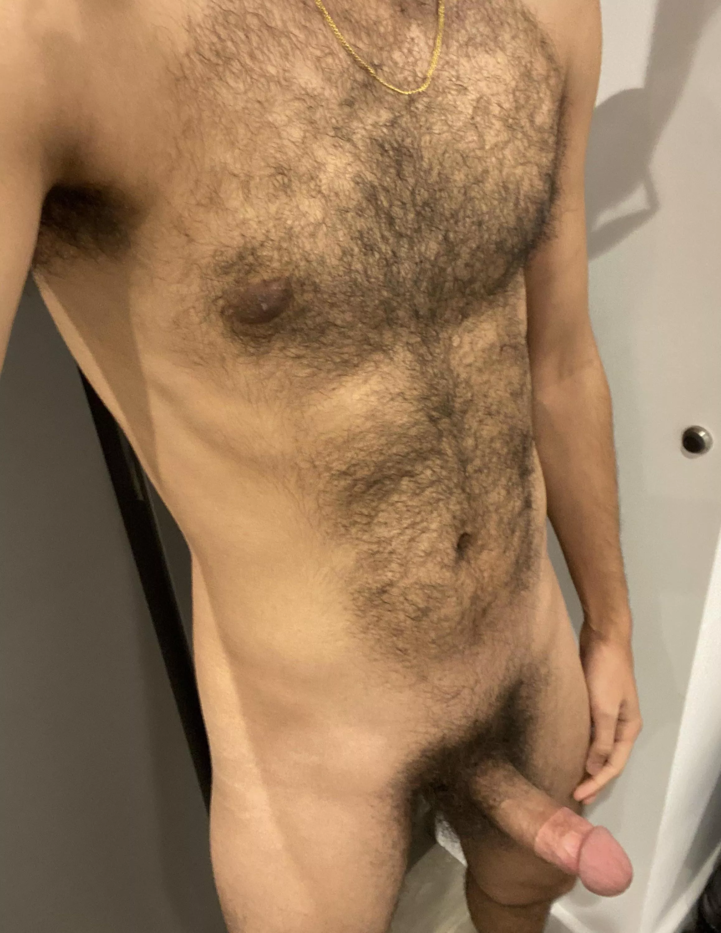 24 m uk fit+++ arayan-a