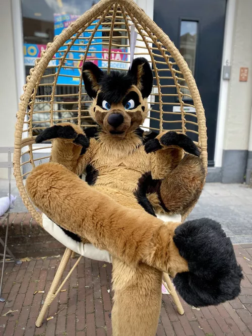 Ace shepherd is chillin