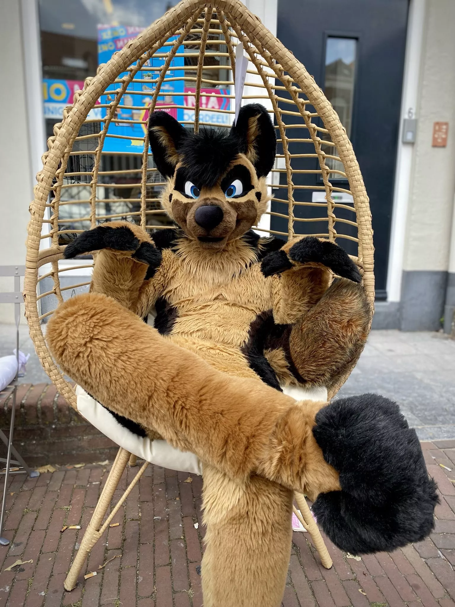 Ace shepherd is chillin