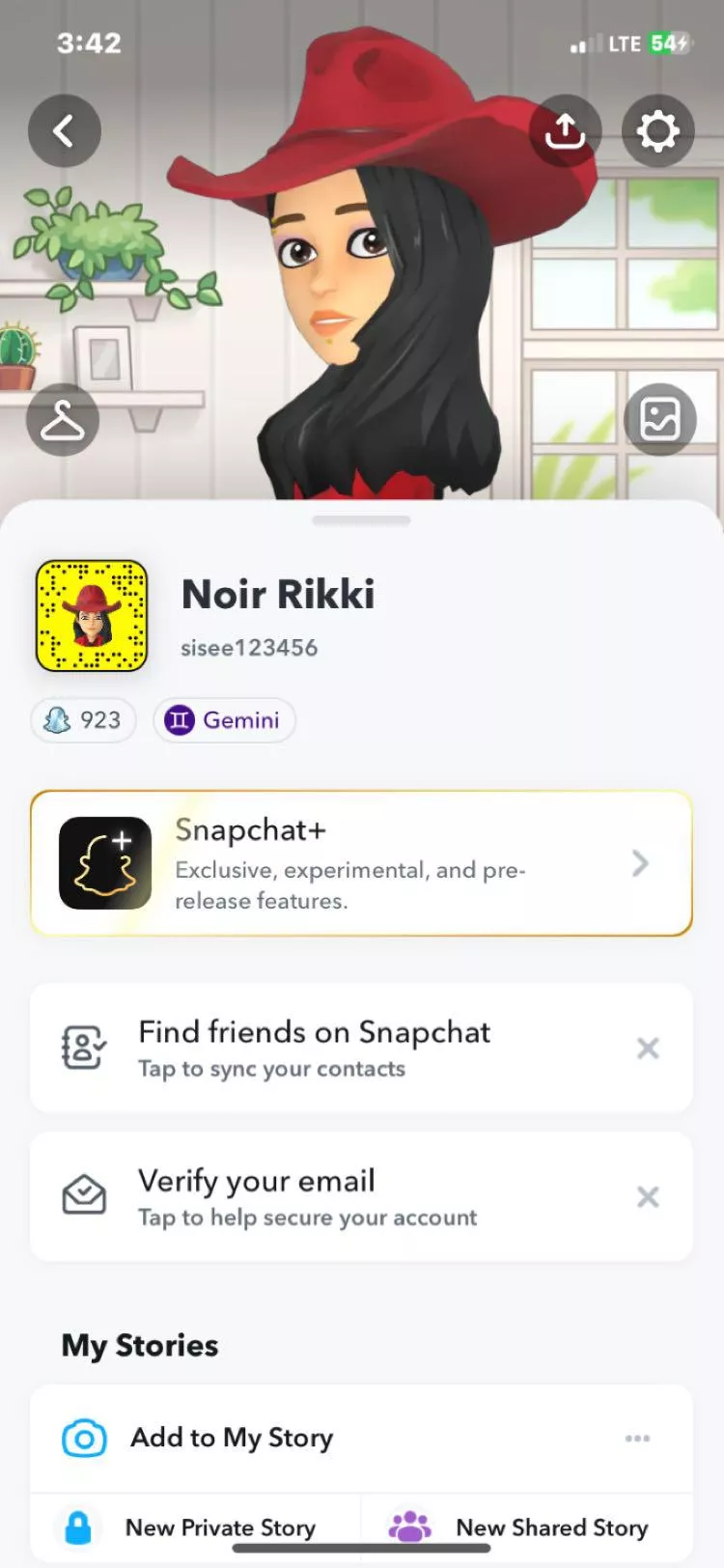 Add Sisee123456 on snapchat