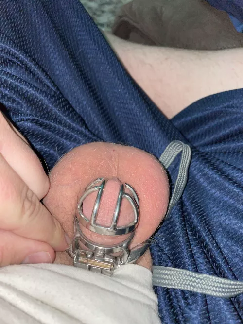 Another night locked by my amazing Mistress L.Still have a minimum 7 more days.