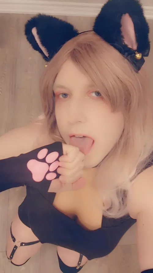 Any love for a femboy kitty? 😻
