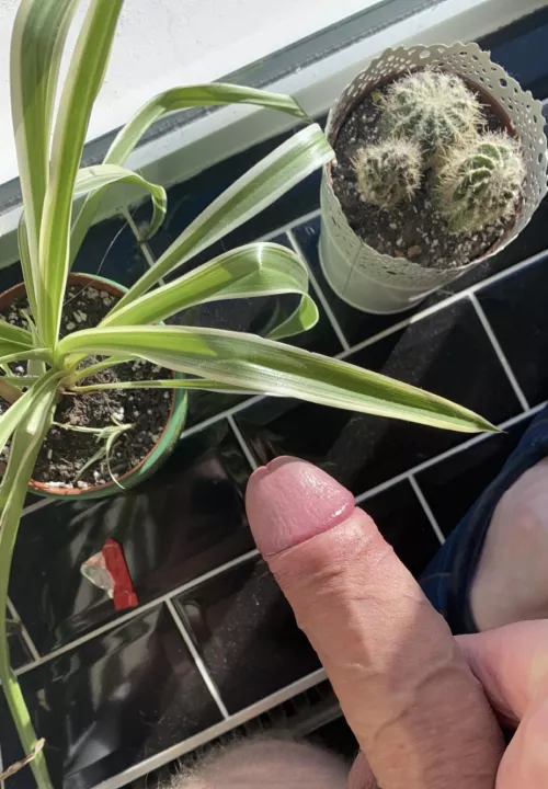 Are you feeding the plants or the dick?