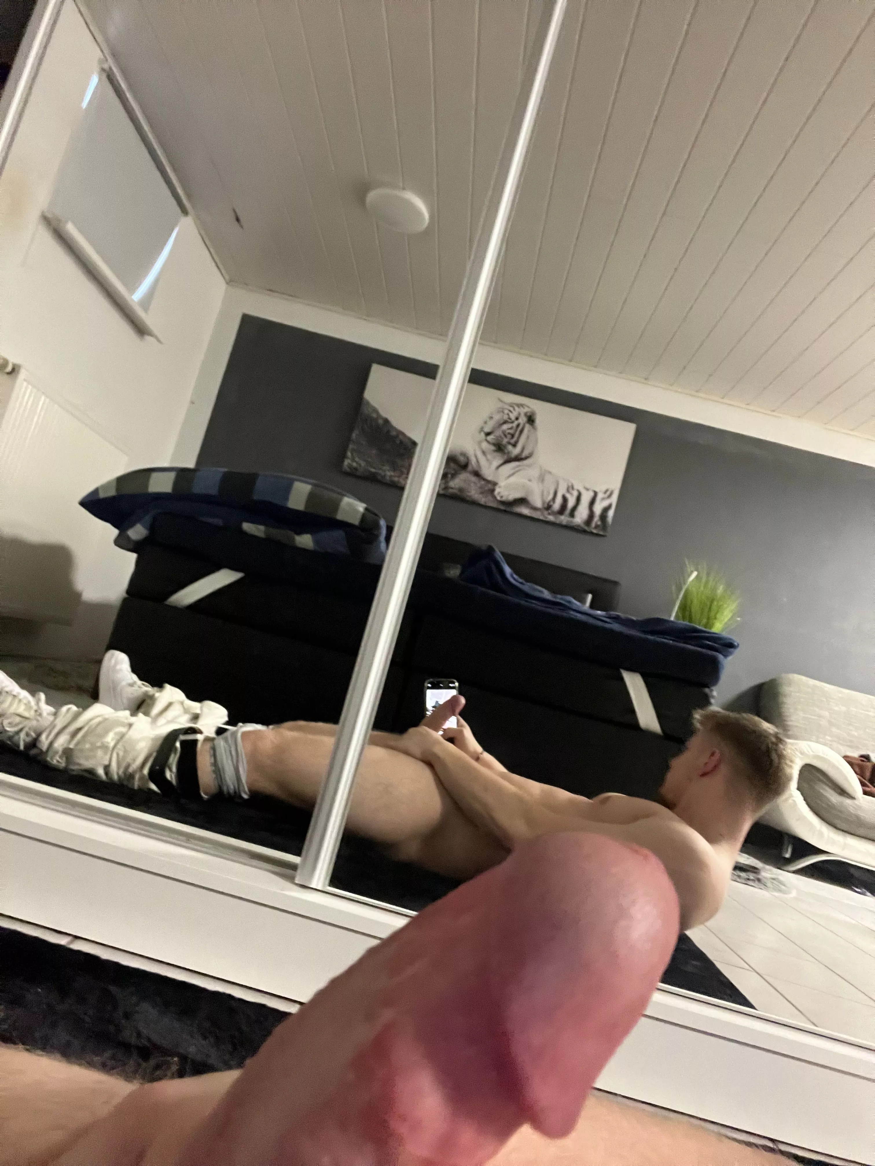 Be honest, would you sit on me?