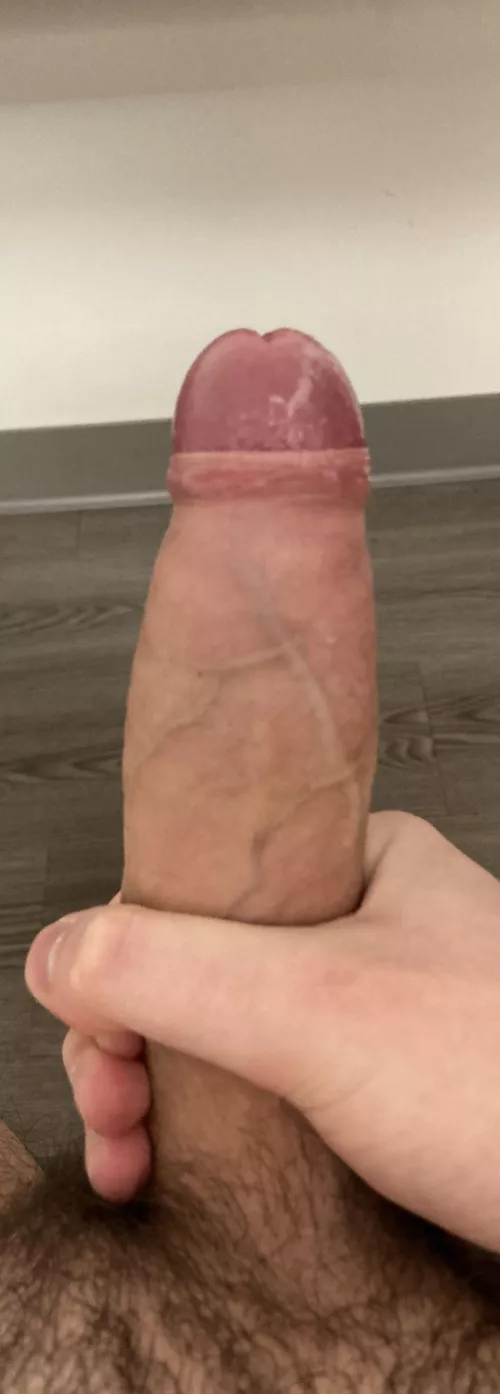 Big, young, hard big white cock