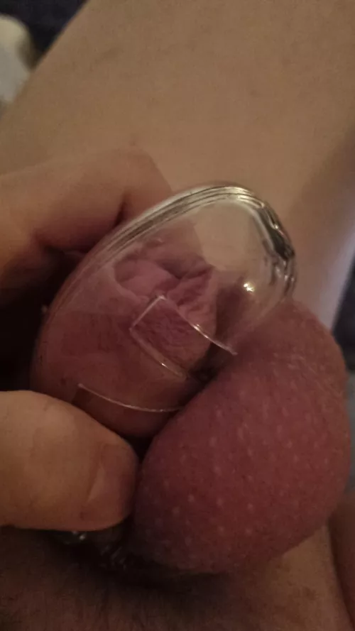 can't even fill the cage, didn't think it was that small 🫣