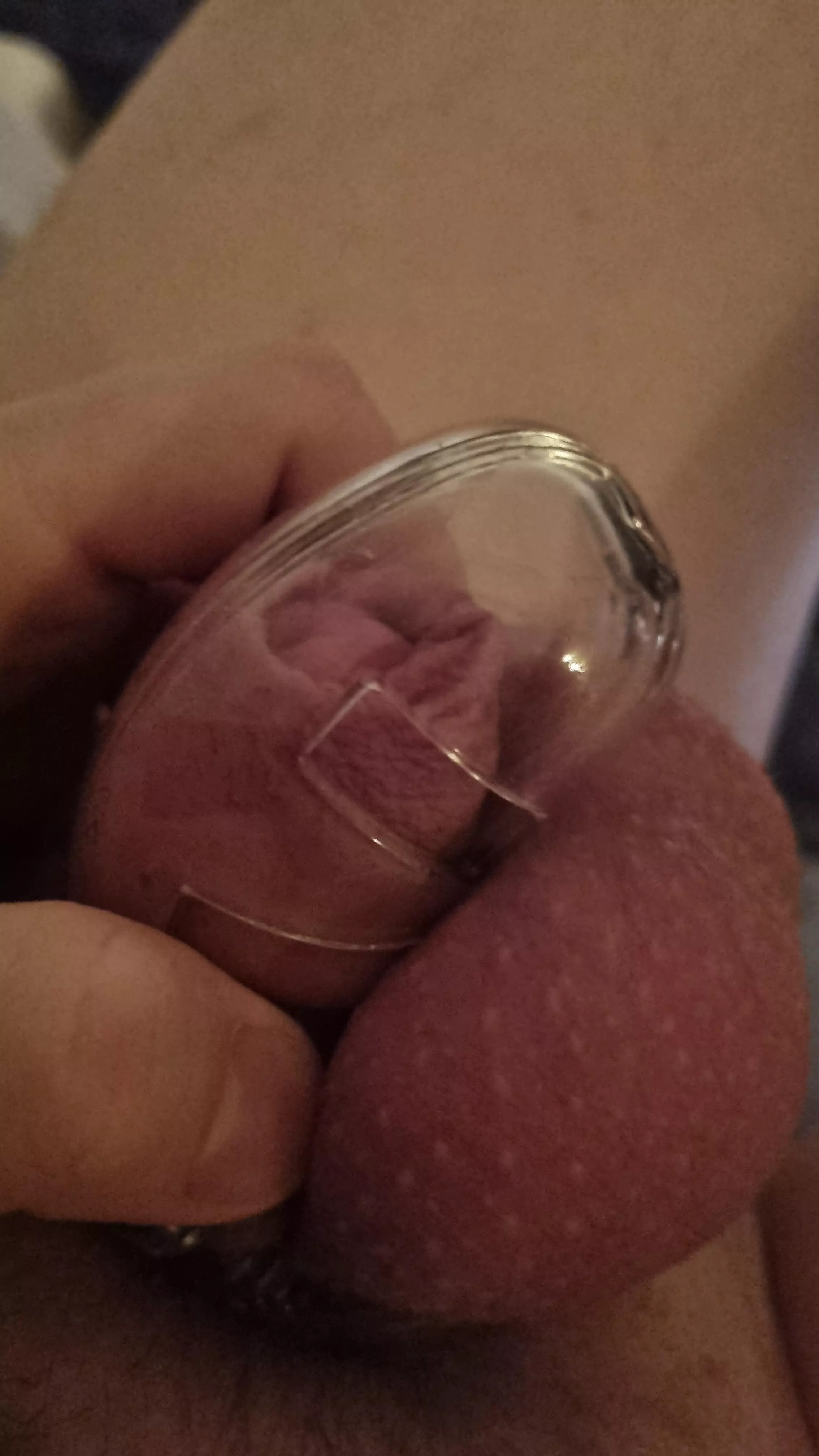 can't even fill the cage, didn't think it was that small 🫣