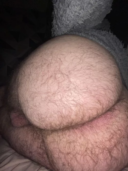 Dm me if you like big hairy arses 😏
