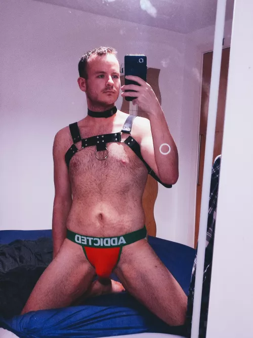 Do Subs wear harnesses too?