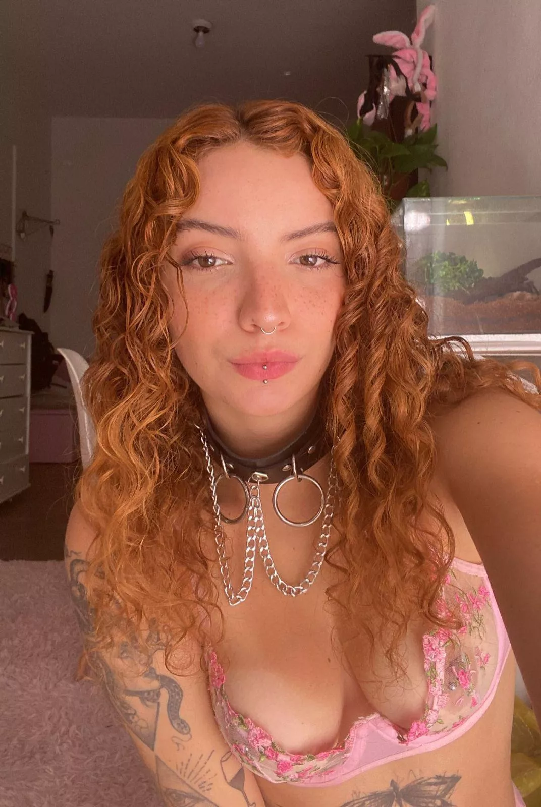 First time here decided to say hi.