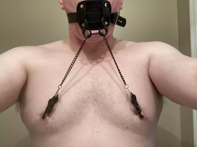 Gagged with boititty clamps.