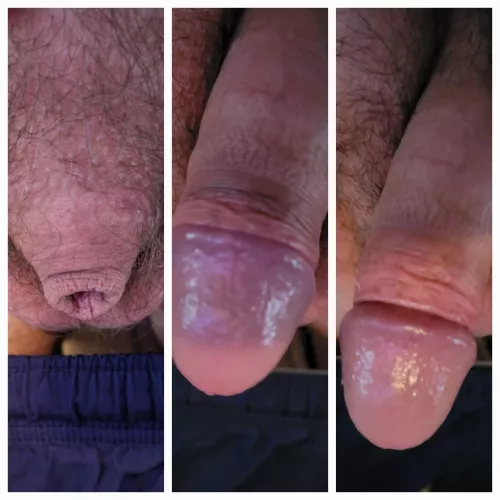 Grows a bit when excited.