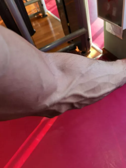 guess what else is veiny