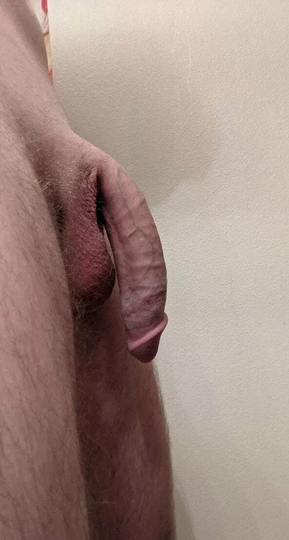heavy balls, heavy cock.
