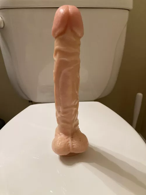 Her pet’s dildo. Her pet loves the feeling of it sliding into its bussy.