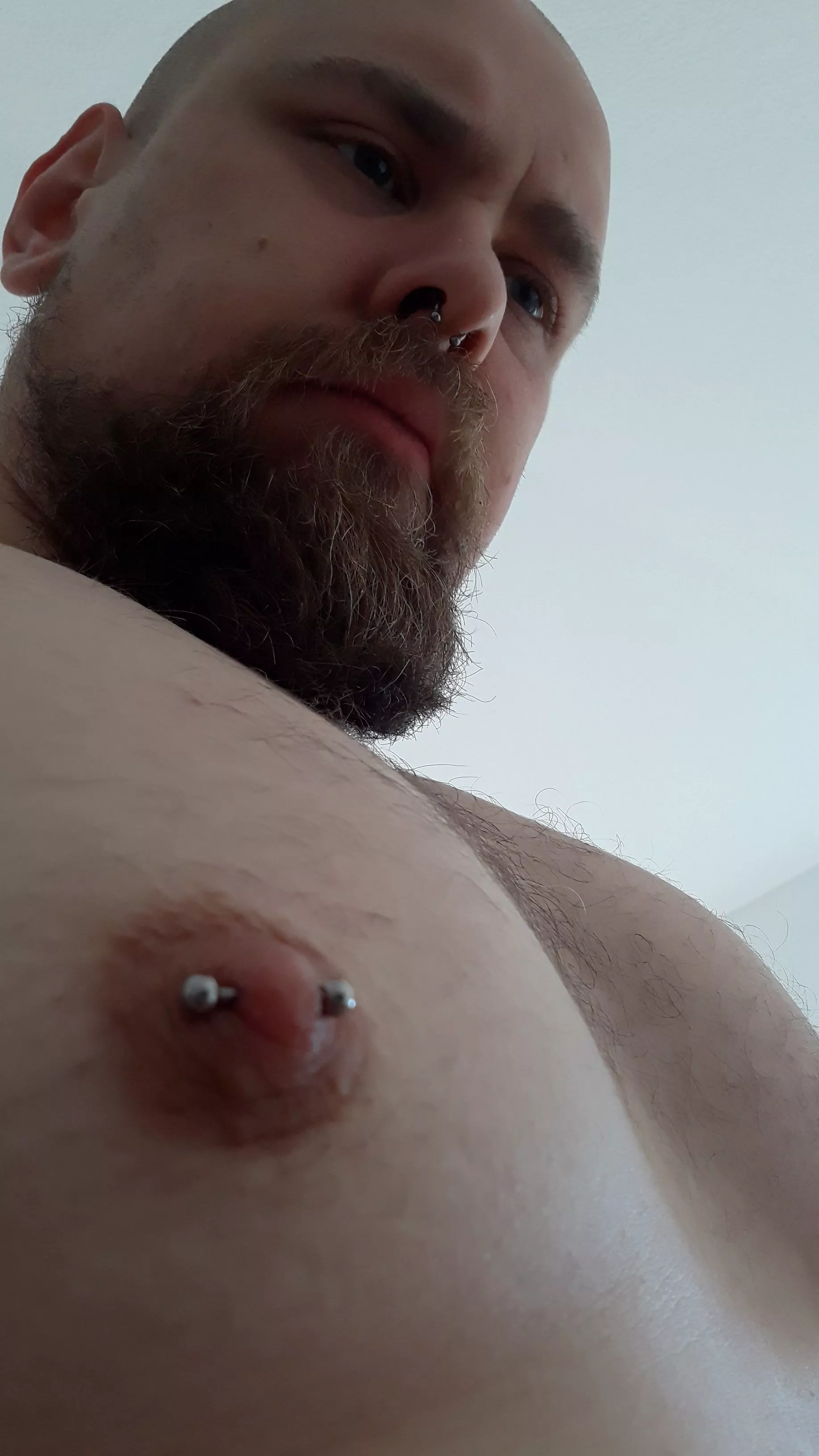 i LOVE my new piercings. OINK!!!!!
