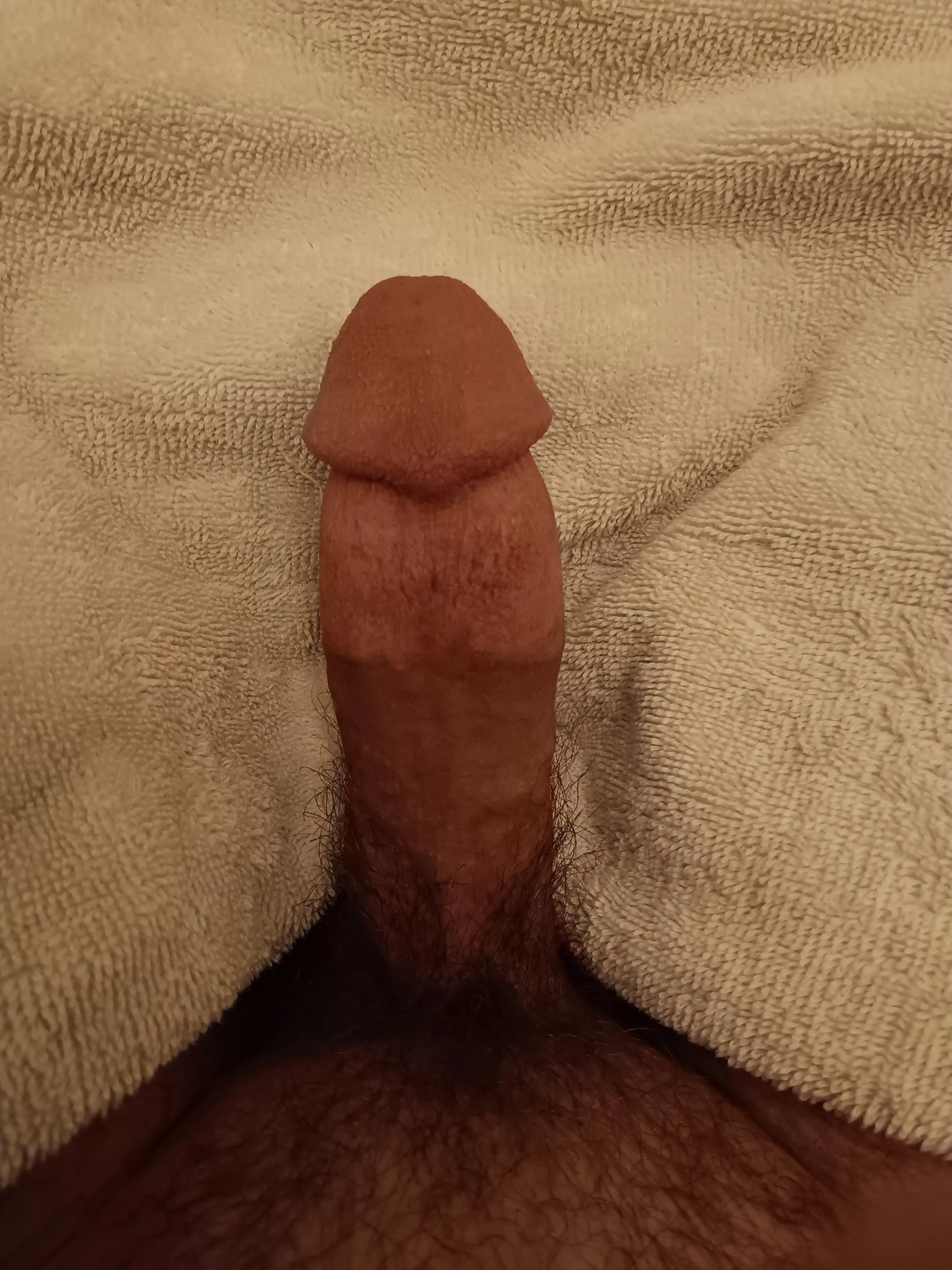 in need of a frot buddy