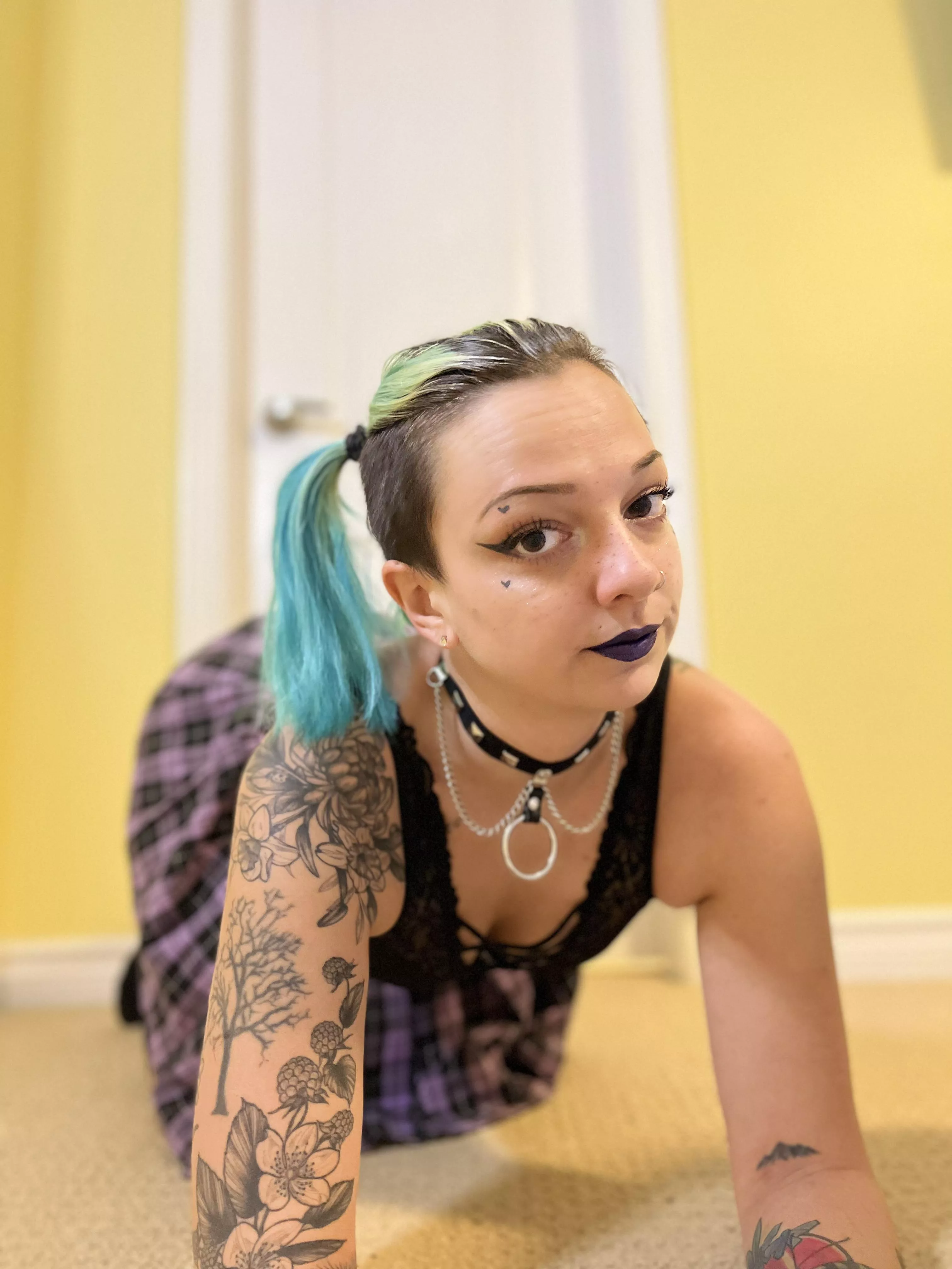 on all 4's is my favourite way to be