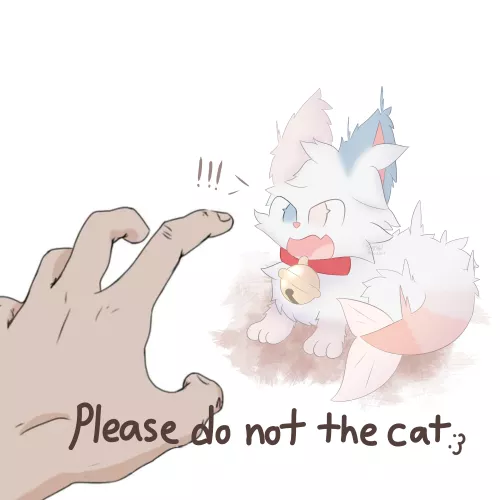 Please do not the cat :3