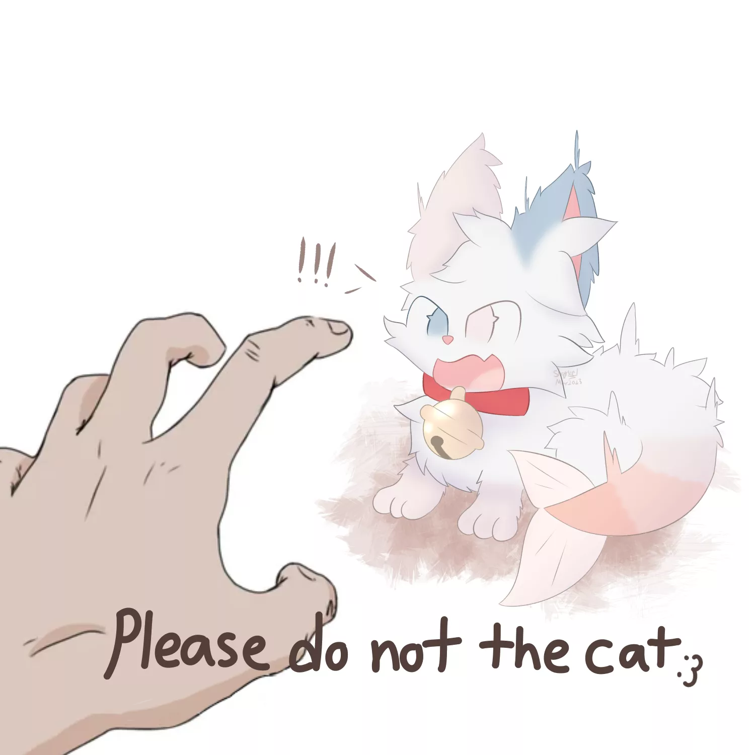 Please do not the cat :3