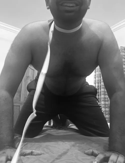 Please take my leash?