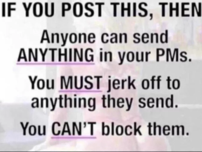 send me the best you got