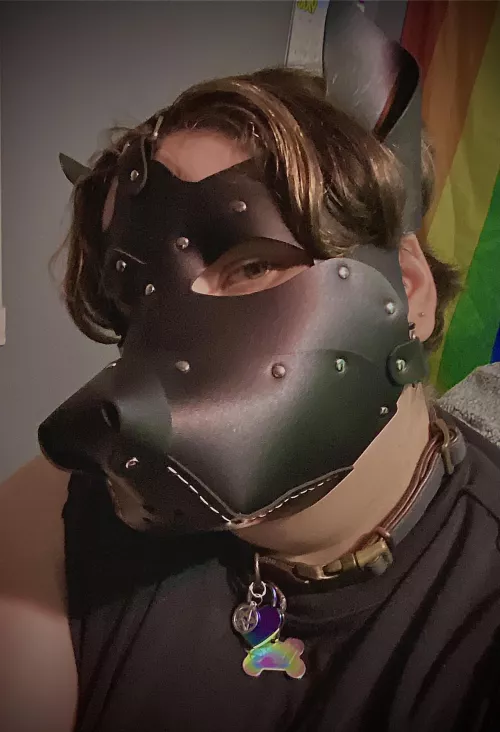 Sitting pretty. Got this mask a while back. Mainly bc the neoprene ones I found were a bit too small. I ripped my last one. Anyone know of a place I can get a good, large neoprene hood? I like this one but it's combersome.