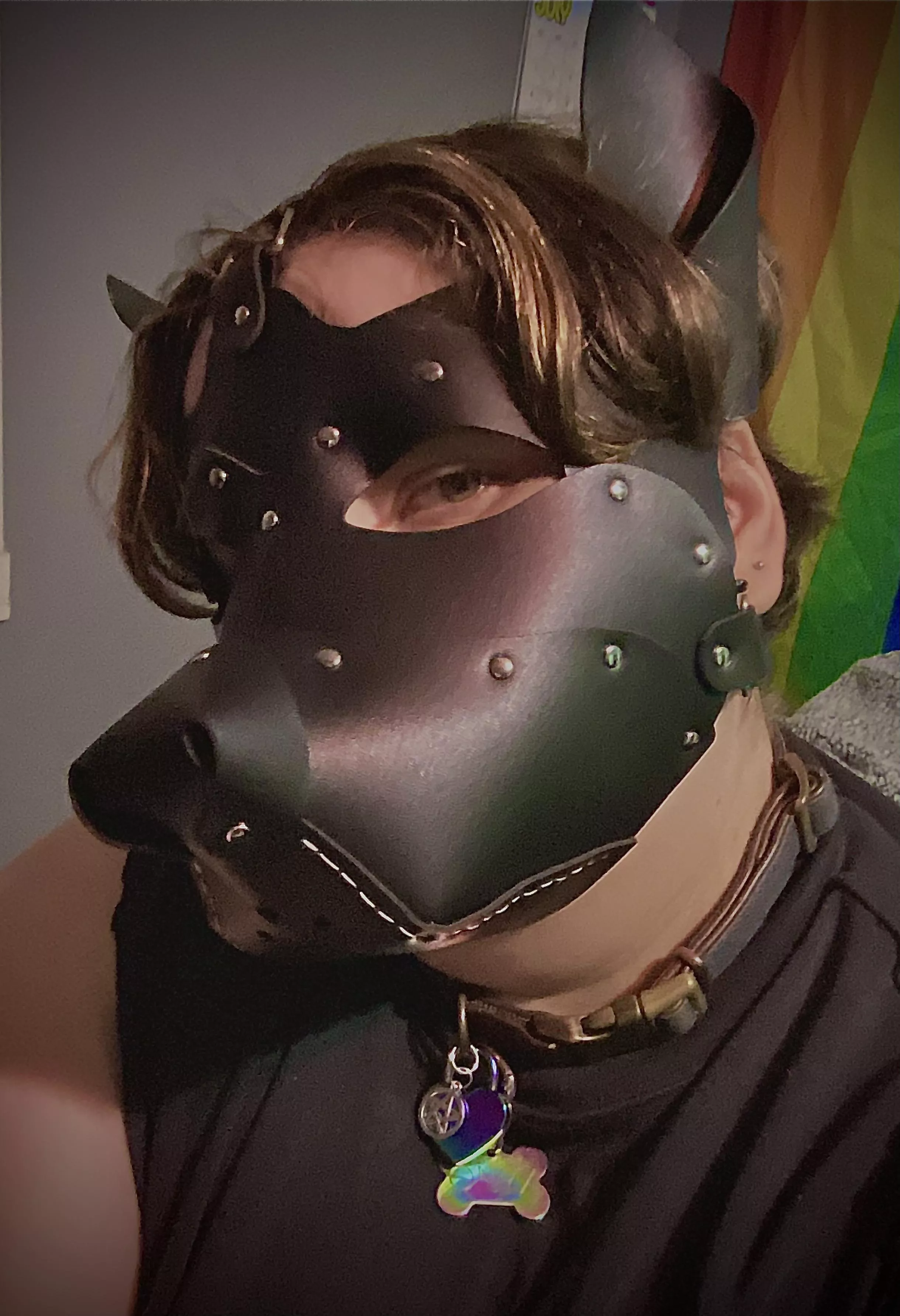 Sitting pretty. Got this mask a while back. Mainly bc the neoprene ones I found were a bit too small. I ripped my last one. Anyone know of a place I can get a good, large neoprene hood? I like this one but it's combersome.